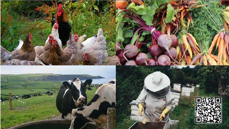 Circular Bioeconomy Research Group (@circbio) on Twitter photo 📣 We’re excited to remind you that the MainstreamBio #Irish Open Call is still open until 31st of August 2024!
🌱 Are you a farmer, cooperative, or involved in a #biobased or #bioeconomy project?
💡 Don't miss out on this opportunity! circbio.ie/news/mainstrea…
@CBC_SW <a href="/MTU_ie/">Munster Technological University</a> 📣 We’re excited to remind you that the MainstreamBio #Irish Open Call is still open until 31st of August 2024!
🌱 Are you a farmer, cooperative, or involved in a #biobased or #bioeconomy project?
💡 Don't miss out on this opportunity! circbio.ie/news/mainstrea…
@CBC_SW <a href="/MTU_ie/">Munster Technological University</a>