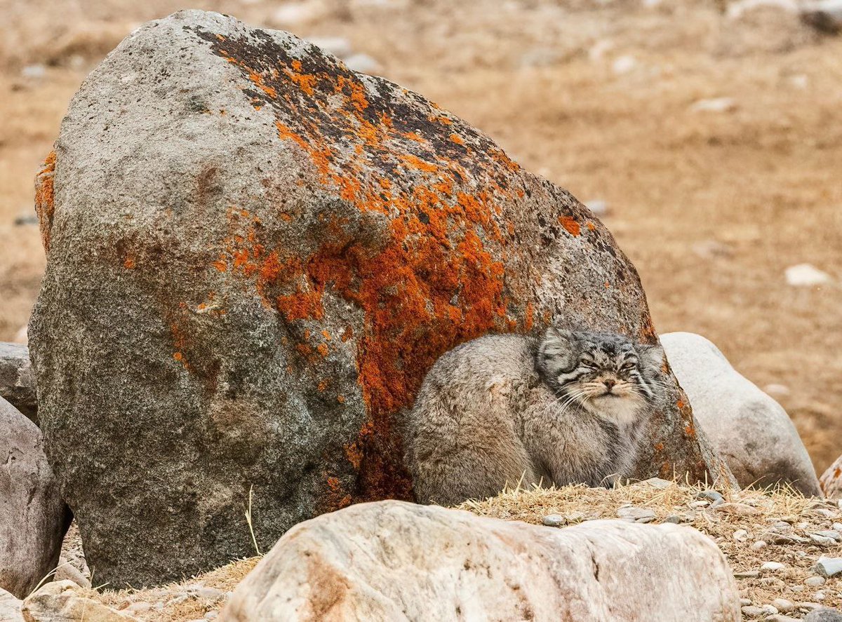 Какой чудесный день