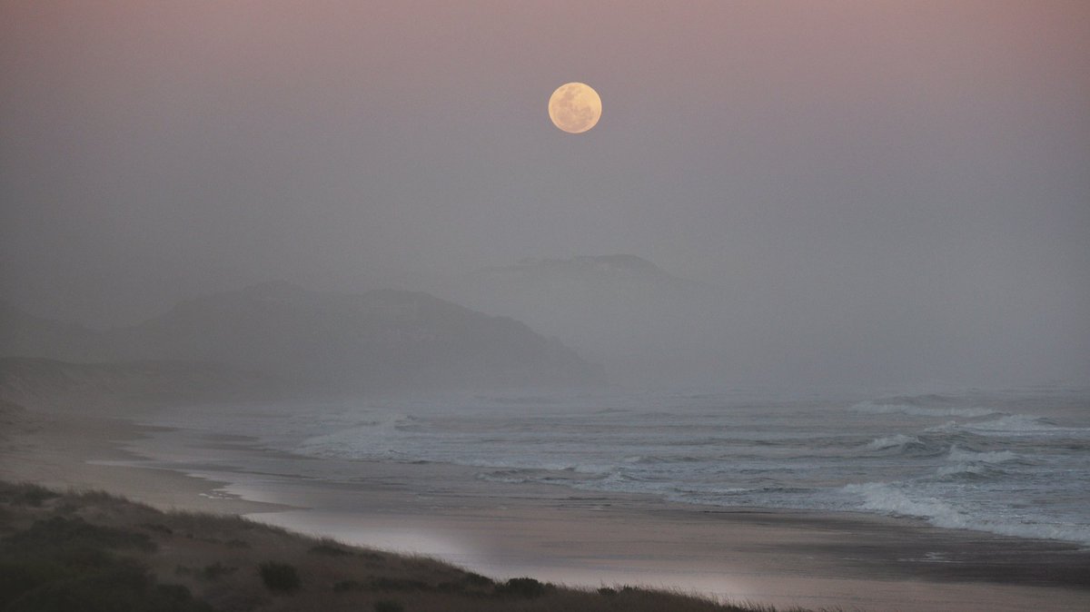 Once in a blue moon 🌙 🌚 
Swartvlei beach in Sedgefield.  
<a href="/visitknysna/">Visit Knysna</a> #SedgefieldSA #GardenRoute #bluemoon2024 
<a href="/gotosouthafrica/">VisitSouthAfrica</a> #HowzitSouthAfrica 
<a href="/GardenRoute_SA/">Garden Route SA</a> <a href="/HelloGRoute/">HelloGardenRoute</a> <a href="/GardenRoute_DM/">Garden Route District Emergency Communications</a> <a href="/SANParksGRNP/">SANParks GardenRoute</a>