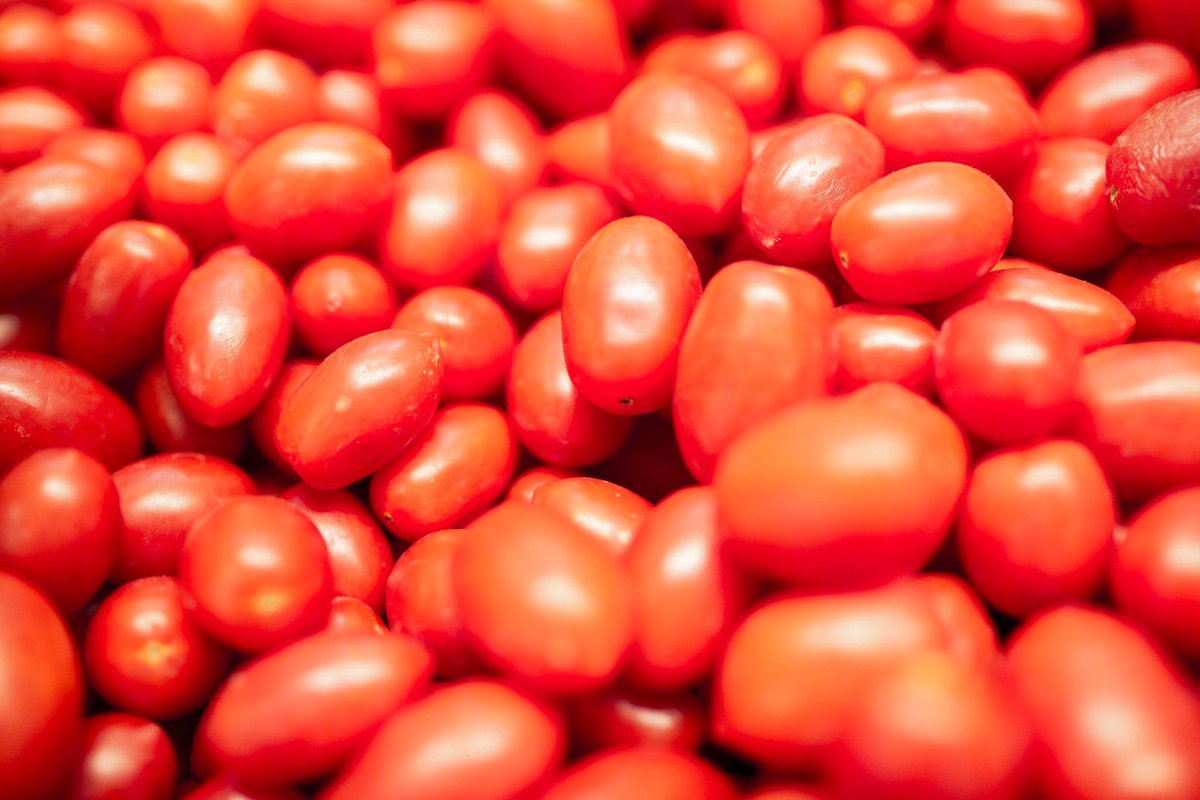 mercamadrid_hoy's tweet image. 🆙¿Buscas un snack delicioso?🙋🏽‍♀️

💯Prueba estas auténticas “golosinas naturales”, los tomatitos cherry 🍅🙌🏼

🍽️Disfrútalos a todas horas, desde el desayuno en una tosta 🥖con #AOVE 💛 hasta la cena en una fresca y variada #ensalada 🥗

👉🏽En tu comercio local

#vistoenmercamadrid