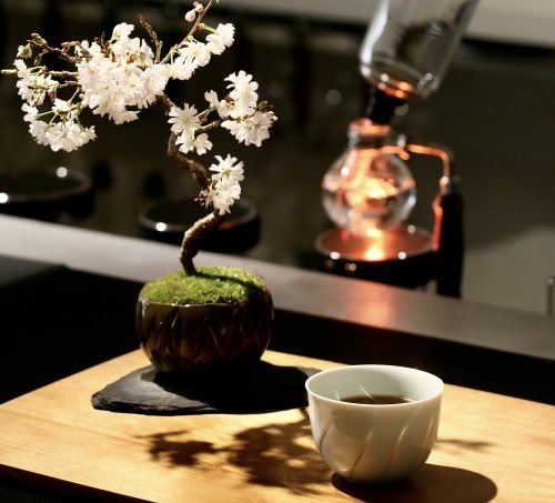 hankyu_event's tweet photo. 🪴明日から9階催場で開催‼︎

BONSAI LIFE～盆栽に恋して～
盆栽初心者向けのワークショップも充実ですよ🔰

☕️「彩盆の間（さいほんのま）」
世界屈指のサイフォン抽出技術を誇るサイフォンのスペシャリスト、中山吉伸が2023年に名古屋市でオープンし��、ミニ盆栽が並ぶコーヒー店が登場。
本店同様にミニ盆栽を眺めながらコーヒーをご堪能ください。（ｳﾒ）

https://t.co/oJL2Hc10ce

#阪急うめだ本店
#BONSAILIFE #盆栽に恋して #盆栽 #彩盆の間 #サイフォン #コーヒー
@hankyu_living
