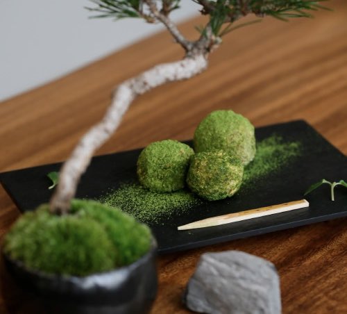 hankyu_event's tweet photo. 🪴明日から9階催場で開催‼︎

BONSAI LIFE～盆栽に恋して～
盆栽初心者向けのワークショップも充実ですよ🔰

☕️「彩盆の間（さいほんのま）」
世界屈指のサイフォン抽出技術を誇るサイフォンのスペシャリスト、中山吉伸が2023年に名古屋市でオープンし��、ミニ盆栽が並ぶコーヒー店が登場。
本店同様にミニ盆栽を眺めながらコーヒーをご堪能ください。（ｳﾒ）

https://t.co/oJL2Hc10ce

#阪急うめだ本店
#BONSAILIFE #盆栽に恋して #盆栽 #彩盆の間 #サイフォン #コーヒー
@hankyu_living