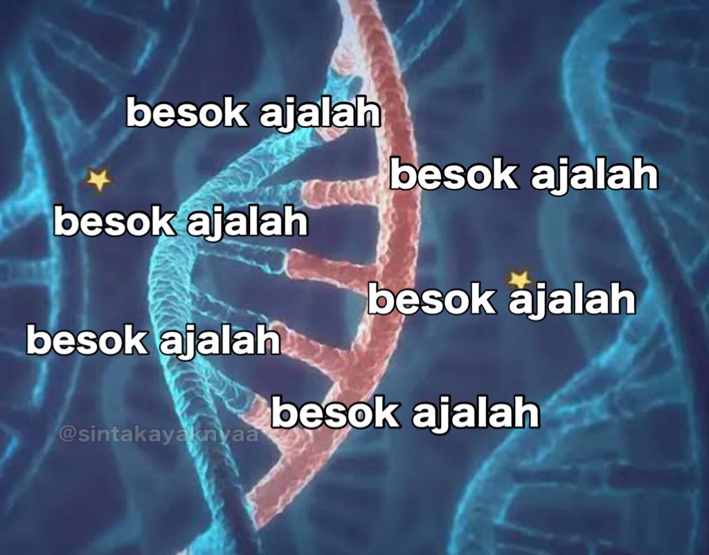 sintakayaknyaa's tweet image. DNA gue: