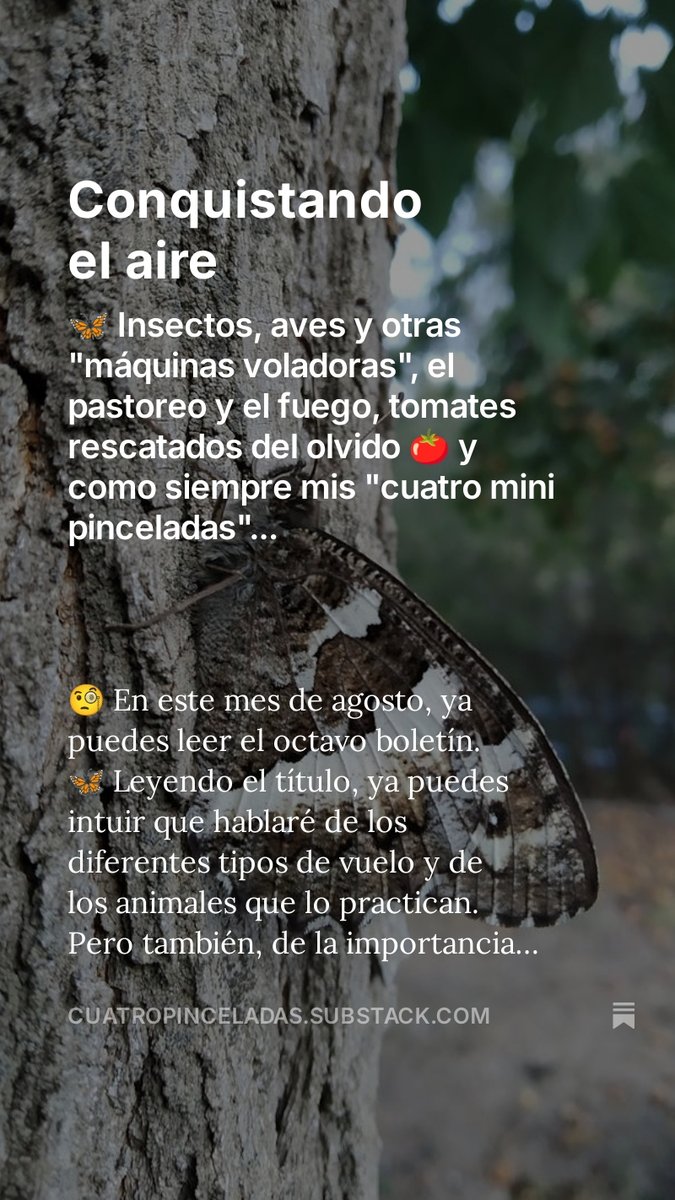 rafalomar's tweet photo. 😀Ya puedes leer el boletín de agosto de "Cuatro pinceladas de divulgación científicas"...👇👇
https://t.co/ZK7fFgVtVj https://t.co/fNBUWMDoXs