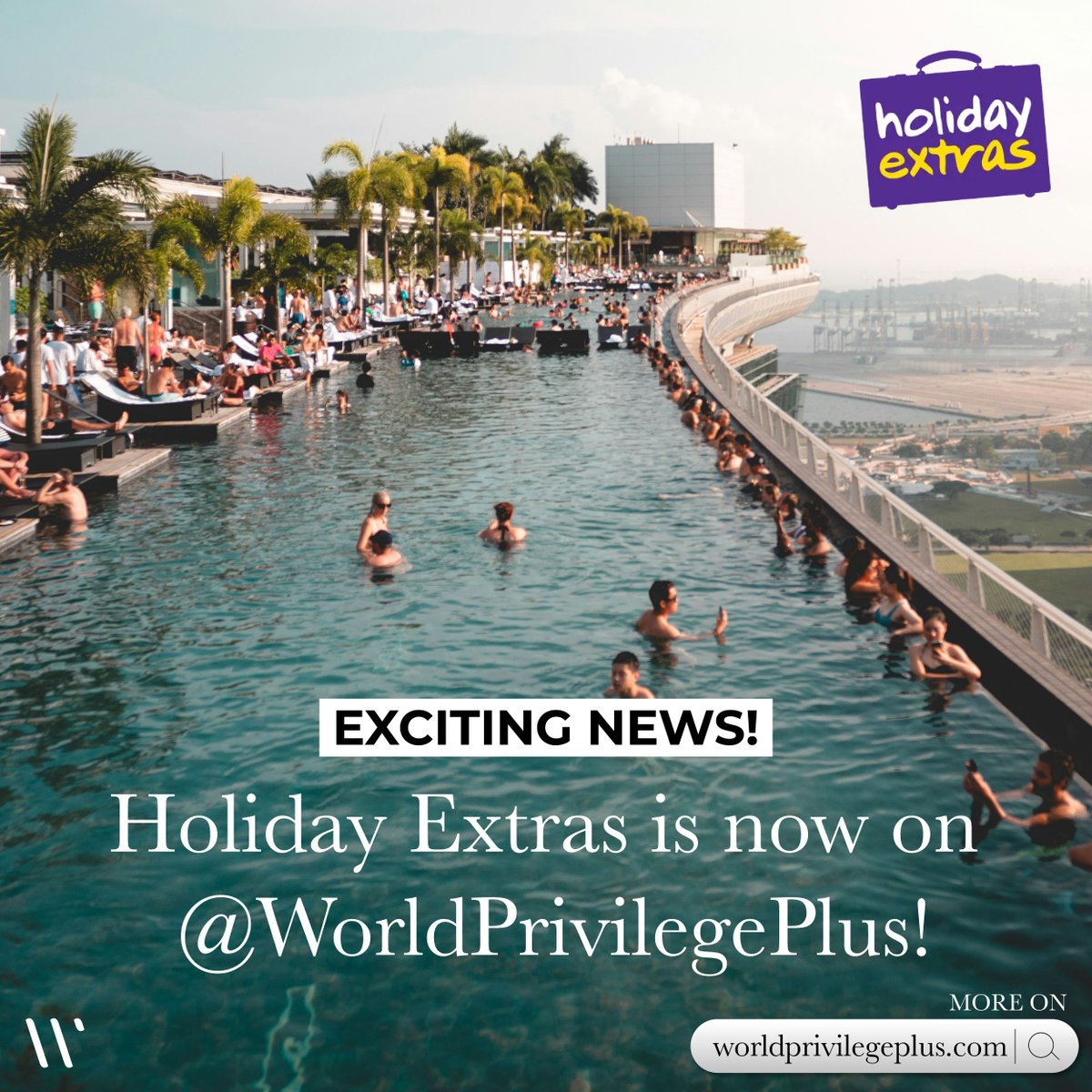 World Privilege Plus tweet media