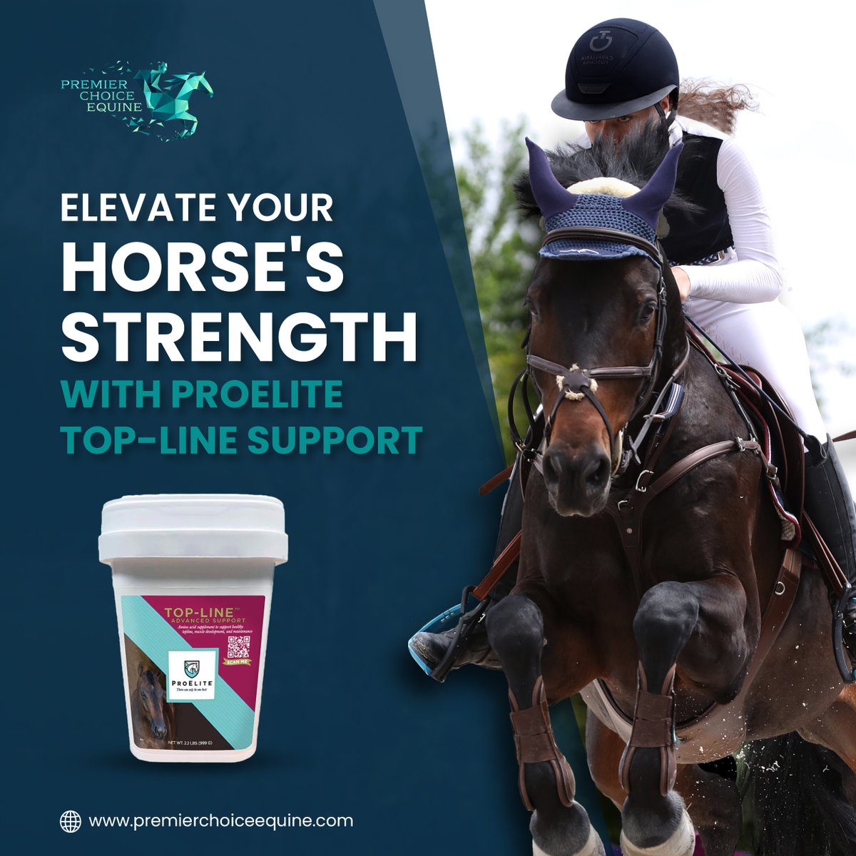 Premier Choice Equine tweet media