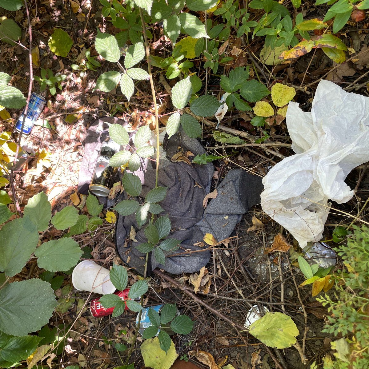 CoLBBSC's tweet photo. Thank you to everyone that attended the #community #litterpick in #SaltHillPark last week. The #litter that we collected from the bushes was astonishing - you can stay up to date with all #SloughAntiLitterSociety #events by clicking the link below.
https://t.co/bBRu8Dt5wY https://t.co/tumxC7YumP