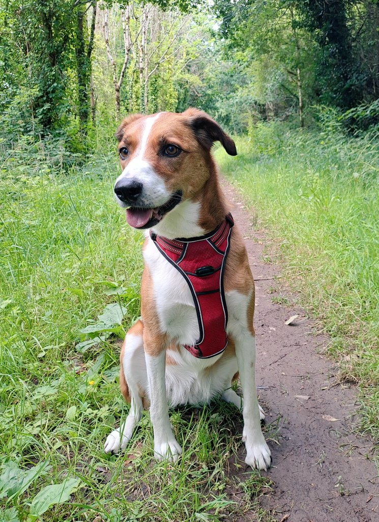 Cian McCarthy tweet media