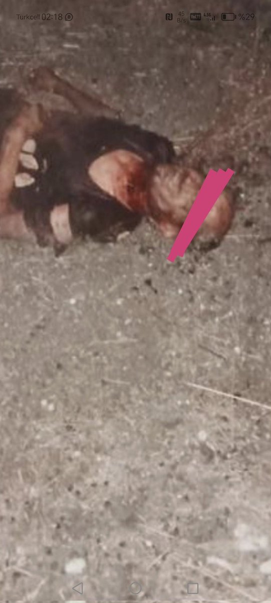 Bir insanın canının köpekler kadar değeri yok mu bu ülkede!

Başıboş köpekleri bir an önce sokaklardan toplamayan ilgili belediye başkanları ve yasaya direnen siyasetçiler; müteselsilen köpeklerin parçaladığı insanların ölümünden doğrudan sorumludur!

Hükümet çıkardığı yasanın