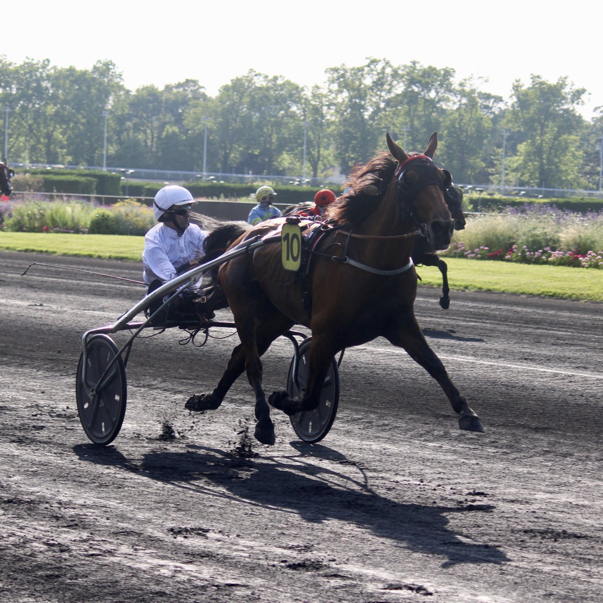 🗓 MARDI 20 AOÛT
📍 Divonne les Bains

🐴 201 Larabello de Lou &amp; 706 Java de Castelle (🧤 J.Raffestin)

« Un déplacement ambitieux sur la piste de Divonne les Bains ! A l’issue d’un bon déroulement de course, les deux chevaux possèdent les cartes pour bien faire ! »