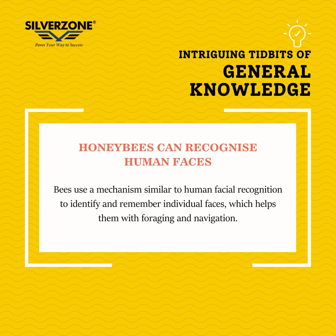 SZOlympiads's tweet image. 🐝🌟 Honeybees have a surprising talent—they can recognise and remember human faces! Just like us, they use facial recognition to help with foraging and finding their way. 🌻👤

#SilverZoneOlympiads #BeeKnowledge