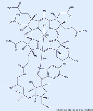 The Nobel Prize tweet media
