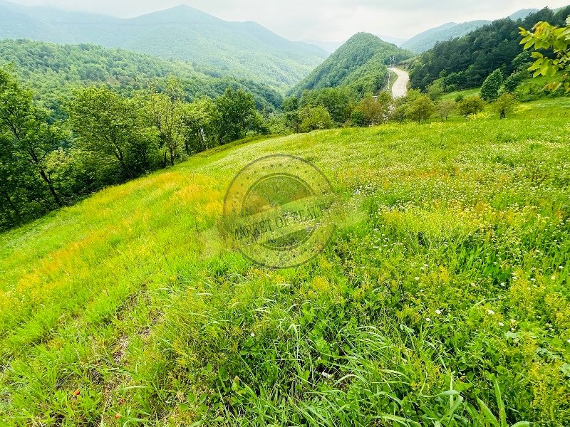 Kocaeli Karamürsel'de, suyu, meyve ağaçları ve 1+1 evi bulunan, 350 m2 bahçe. 87.000$ +90 539 648 2341

marketofrealty.com/kocaeli-de-orm…

#emlak #gayrimenkul #sahibinden #satılık #yatırım #baçe #HobiBahçesi #tarla #MüstakilEv #çiftlik #turkey #türkiye #kocaeli #karamürsel #gölcük