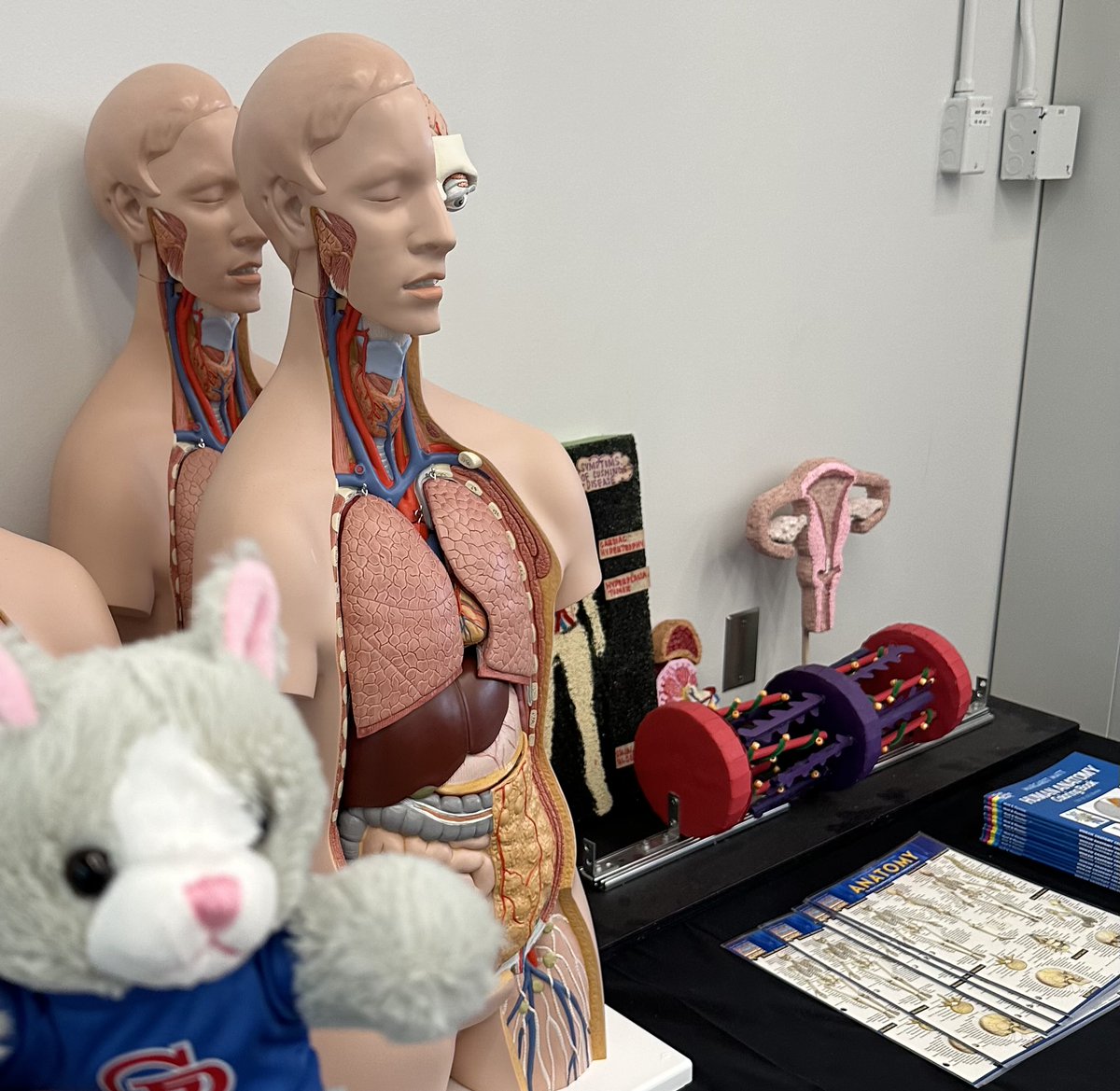 GPISD1's tweet image. Our “Wondering Wildcat” had his thinking cap on as he wandered through the Dr. Paul Clore CTE Training Center! There’s so much innovation and connection happening all over G-PISD, he’s sure to keep exploring … wonder where he’ll go next … ❤️💙 #goGPwildcats