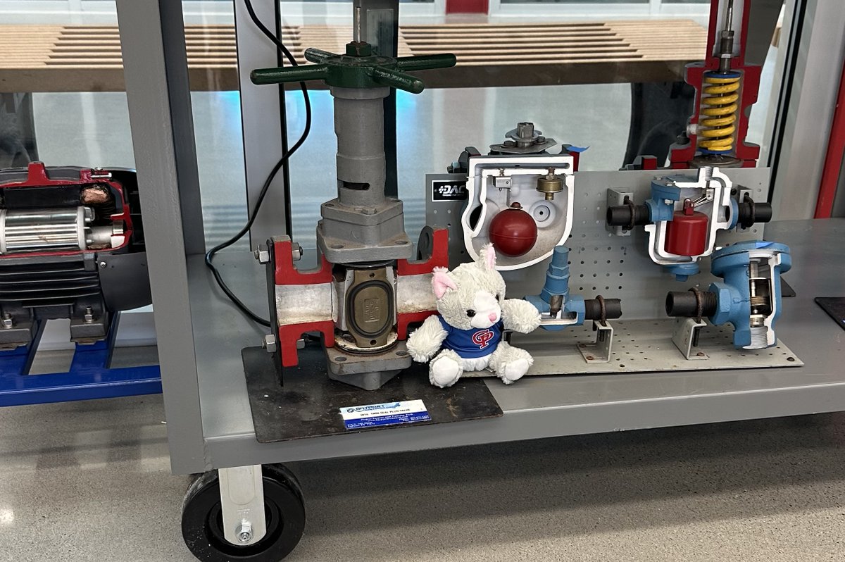 GPISD1's tweet image. Our “Wondering Wildcat” had his thinking cap on as he wandered through the Dr. Paul Clore CTE Training Center! There’s so much innovation and connection happening all over G-PISD, he’s sure to keep exploring … wonder where he’ll go next … ❤️💙 #goGPwildcats