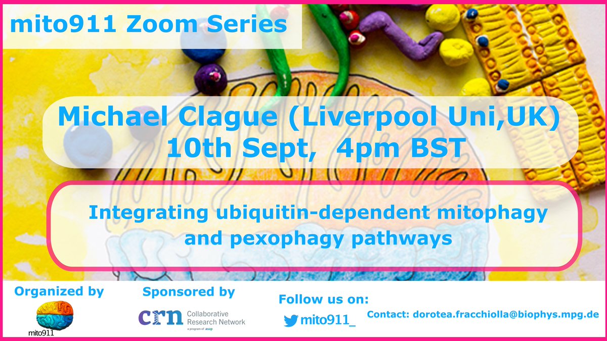 mito911 (@mito911_) on Twitter photo Join us for the upcoming <a href="/mito911_/">mito911</a> Zoom Webinar by Prof. Michael Clague <a href="/LivUni/">University of Liverpool</a>!
📅Sept 10th 2024
⏲️4pm BST
📝us06web.zoom.us/webinar/regist…
<a href="/ASAP_Research/">Aligning Science Across Parkinson’s</a> <a href="/MichaelJFoxOrg/">michaeljfox.org</a> Join us for the upcoming <a href="/mito911_/">mito911</a> Zoom Webinar by Prof. Michael Clague <a href="/LivUni/">University of Liverpool</a>!
📅Sept 10th 2024
⏲️4pm BST
📝us06web.zoom.us/webinar/regist…
<a href="/ASAP_Research/">Aligning Science Across Parkinson’s</a> <a href="/MichaelJFoxOrg/">michaeljfox.org</a>