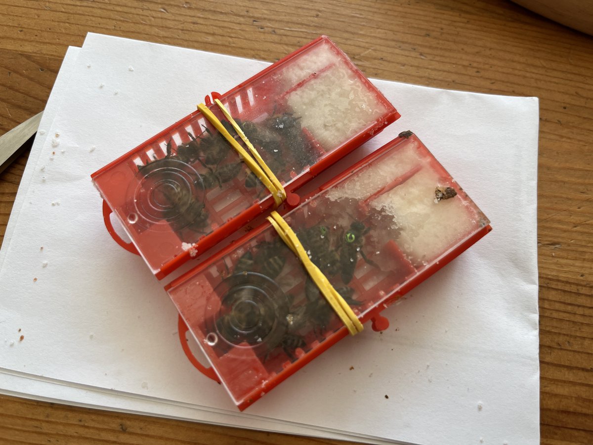 David Ježek 🚜 tweet media