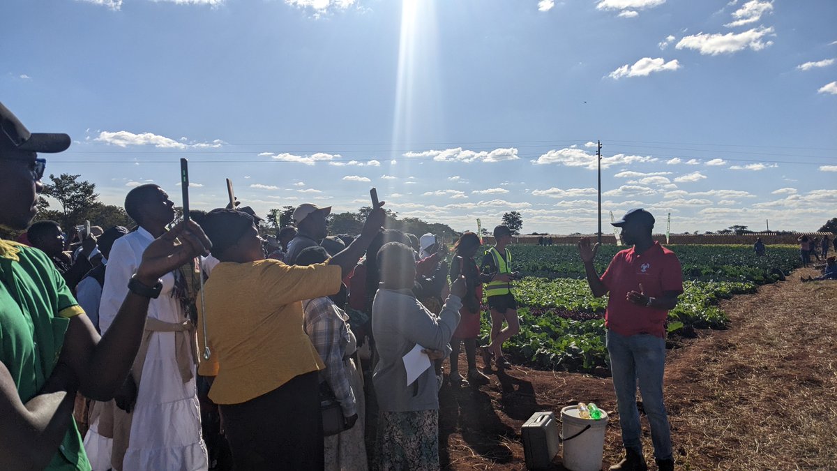 Precision Aerial tweet media