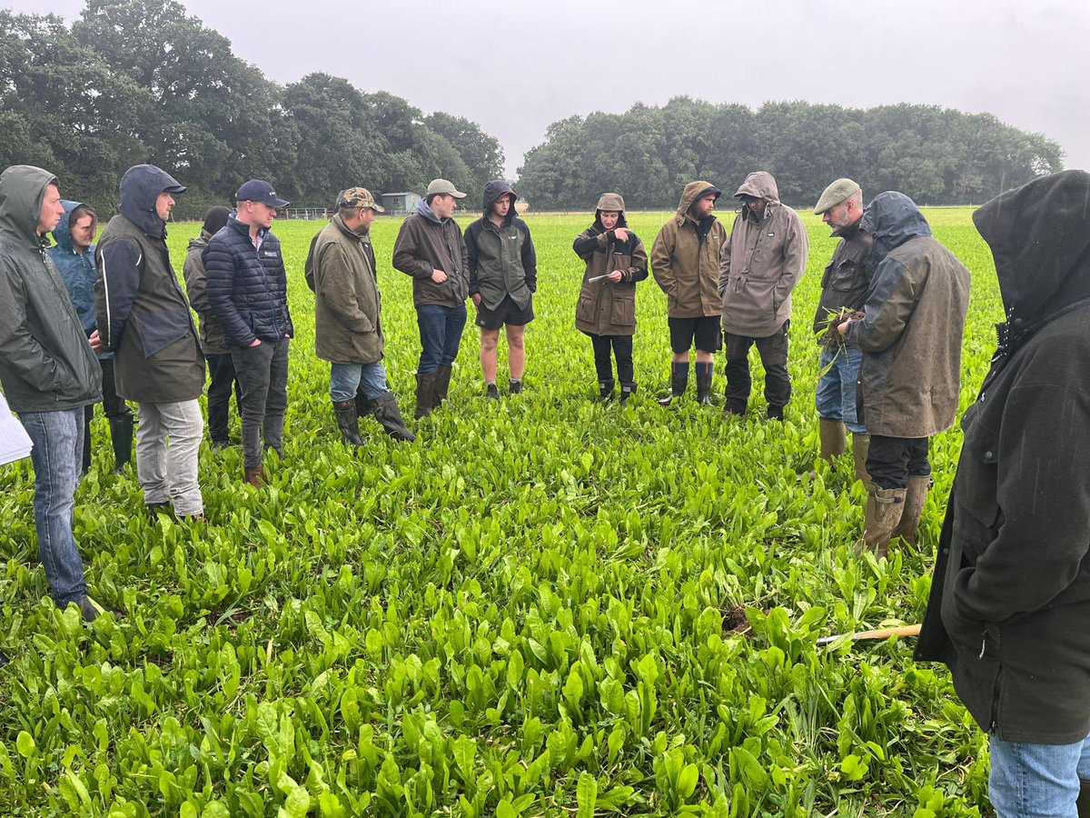 Great evening touring our Partner Farm, Greenfields, last week. We looked at specialist lamb finishing mixtures and grazing red clover trials, discussing lamb performance, soils, grazing management 🌱☘️🐑

Thanks to Greenfield Lamb for putting on a great bbq to finish.
