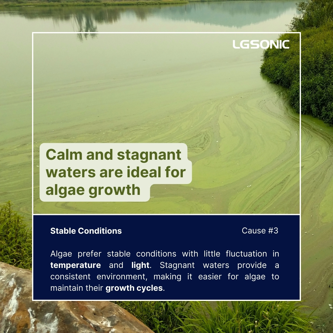 🦠Here are three reasons why 𝐜𝐚𝐥𝐦 &amp; 𝐬𝐭𝐚𝐠𝐧𝐚𝐧𝐭 conditions are a breeding ground for algal blooms. Stay informed with LG Sonic for algae insights and effective technology that eliminate these toxic invaders.
#algalblooms #watermanagement #watersolutions #innovation