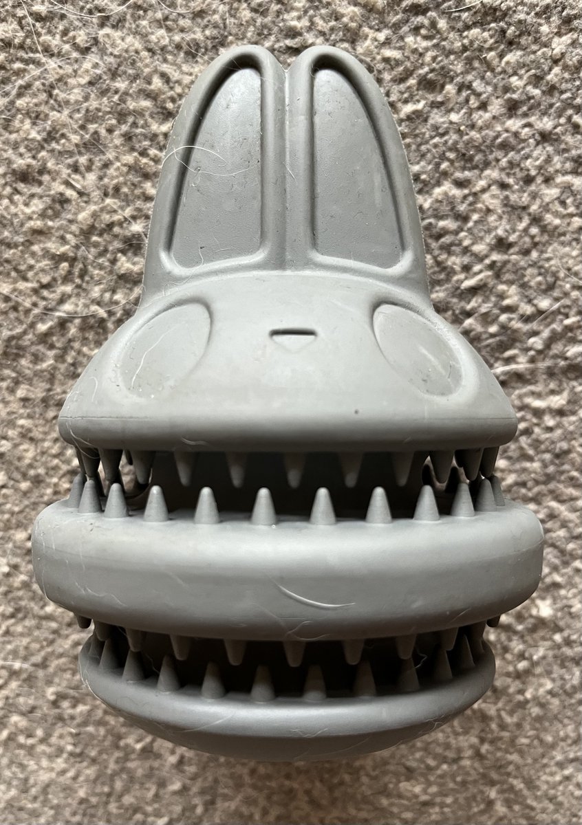 We got the dog a cute rabbit toy a few weeks ago, it started life looking like the picture on the left.  Once the dog had chewed through the covering, we took it off, which revealed the horror on the right!