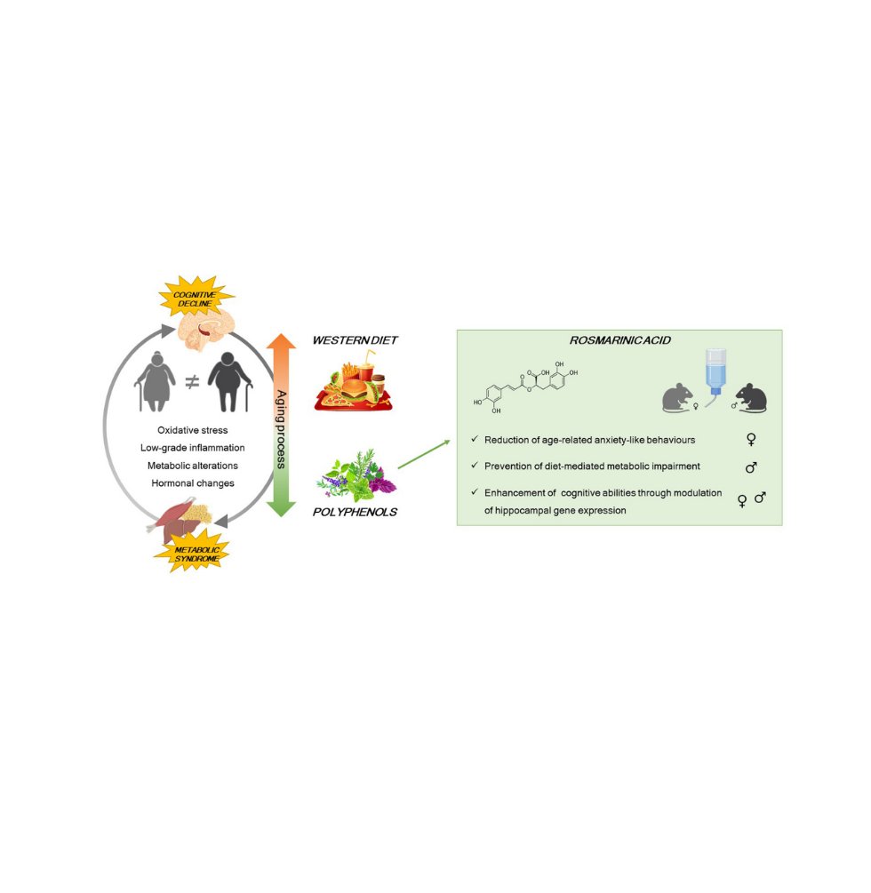 TimePie (focus on anti-aging science) tweet media