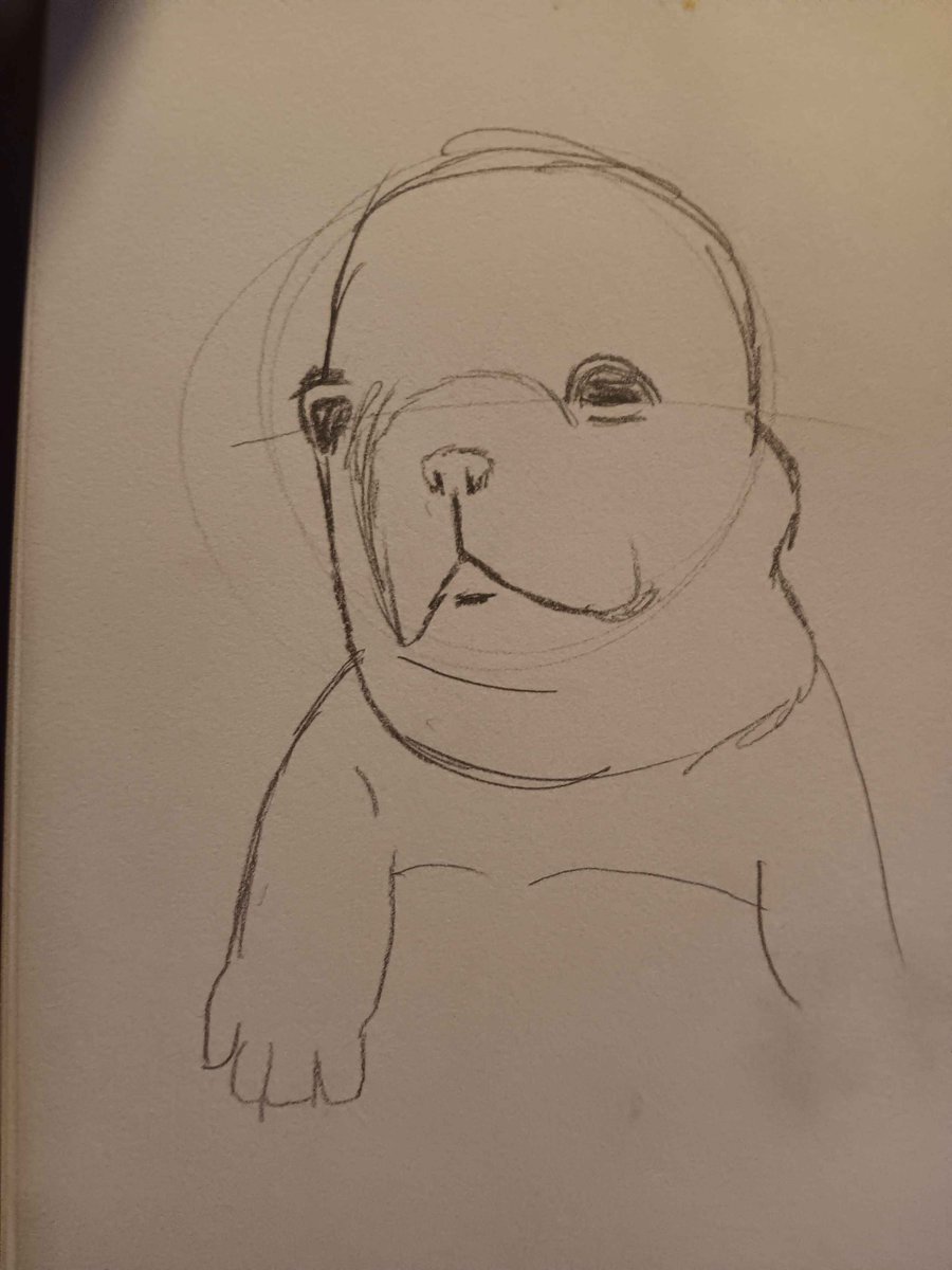 MrNatureFriend tweet media