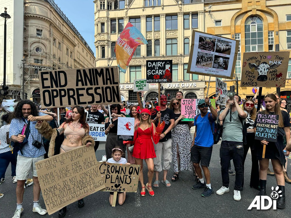 AnimalDefenders's tweet image. ADI joined the National Animal Rights march in London at the weekend, along with the photocall backing the trophy hunting ban. Together we can build a kinder world for animals.
#CompassionForAll #AnimalRights #NARM #ADI #bantrophyhunting