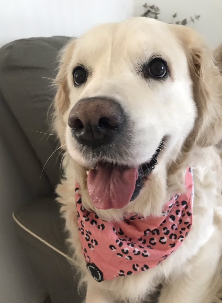 Today is my birthday and I’m 7 🥳🎈