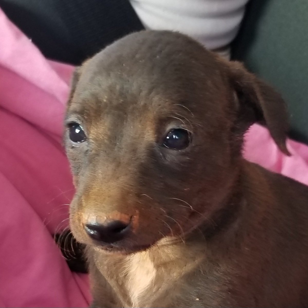 luaareba's tweet image. olhando pro nada e pensando nela