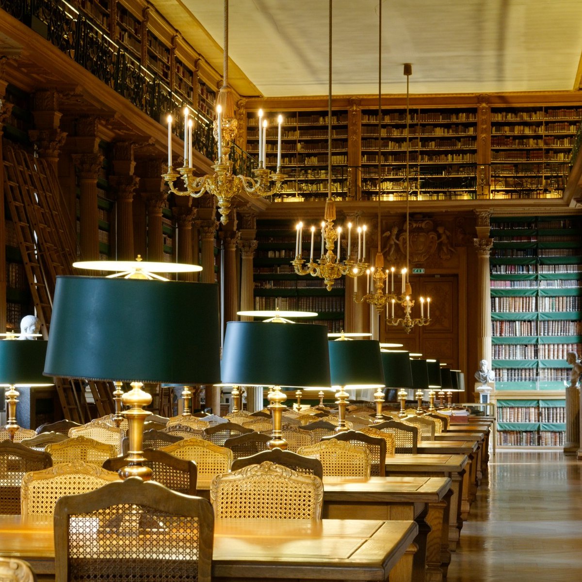 BibMazarine's tweet photo. [Réouverture] Les bibliothèques Mazarine et de l'Institut de France réouvrent leur porte aux lecteurs et aux visiteurs du lundi au vendredi, de 10h à 18h.
#bibliothequemazarine #bibliothequedelinstitutdefrance https://t.co/SnGUdA3FiQ