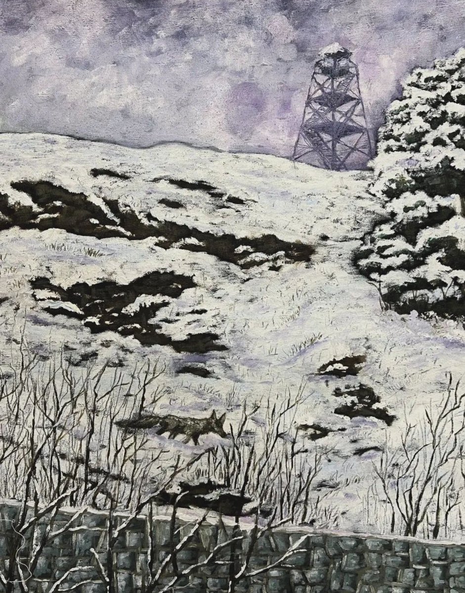 ویدا ربانی منظره‌ی تپه‌های اوین از پنجره‌ی اتاق ۳ در بند نسوان اوین رو نقاشی کرده.
 متریال؟ رنگ روغن روی ملحفه‌های زندان!