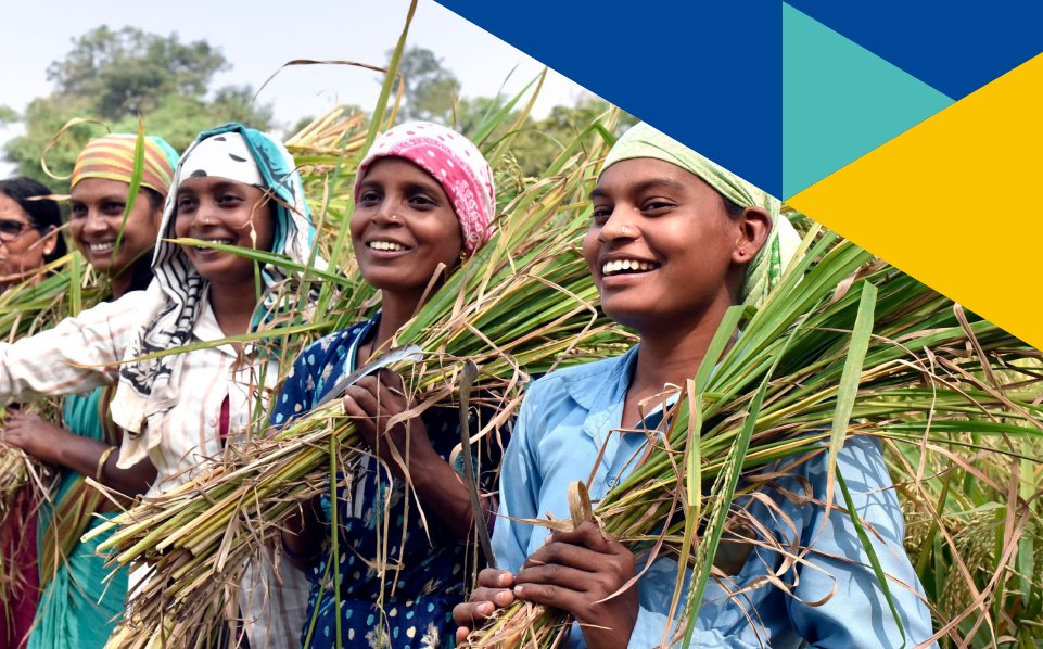🚨 <a href="/ilo/">International Labour Organization</a>'s new report highlights how <a href="/SEWAFed/">SEWA Cooperative Federation</a>  empowers women in India's informal sector through the cooperative model. 

From digital literacy to financial services, SEWA strengthens women-led enterprises, advocating for a more equitable economy

Read more shorturl.at/inVVz