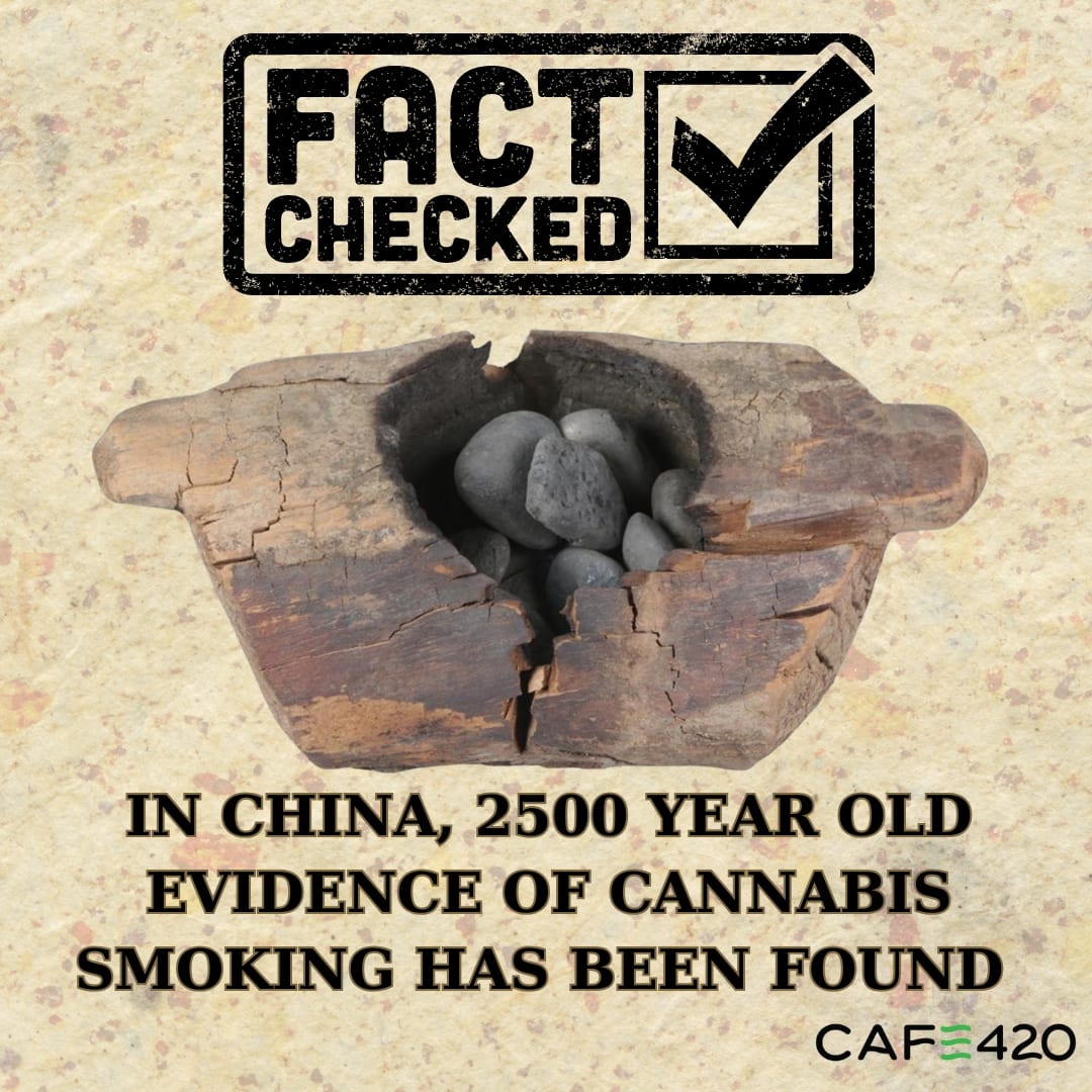 Cafe420za's tweet photo. Researchers have found chemical residue of cannabis in 2,500-year-old incense burners from tombs in China's Xinjiang region, suggesting it was used during funeral ceremonies. The high levels of THC found, indicates it was chosen for its mind-altering properties. https://t.co/CoHObxvT7y