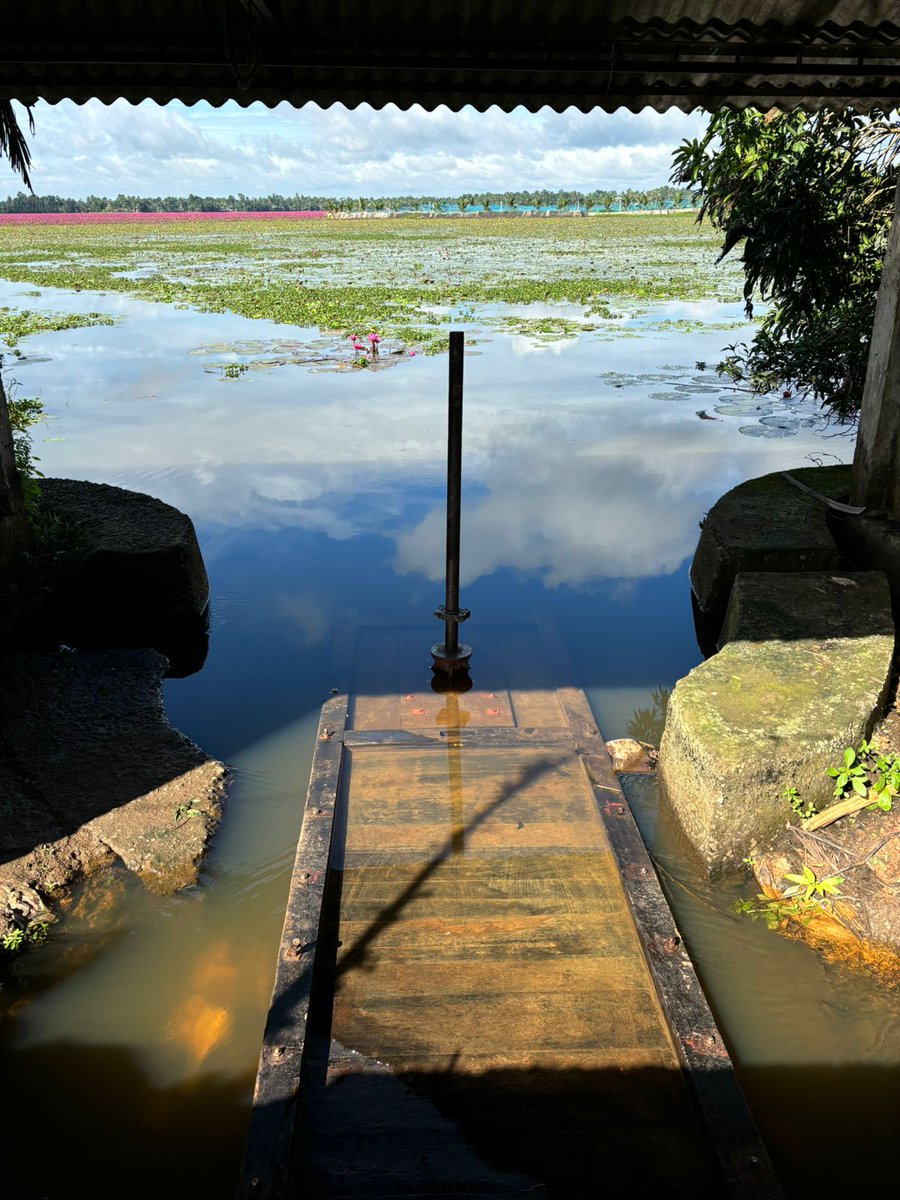 Kuttanadan tweet media