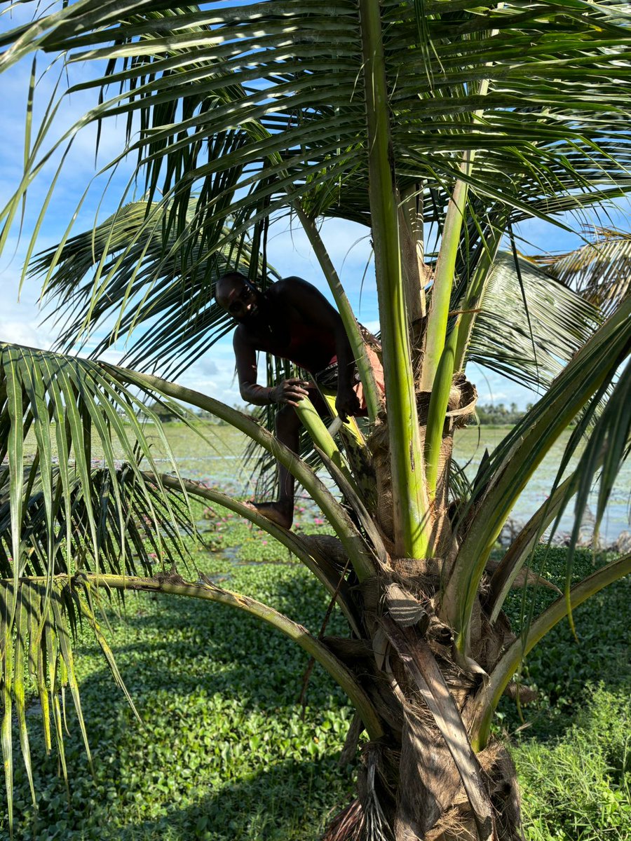 Kuttanadan tweet media