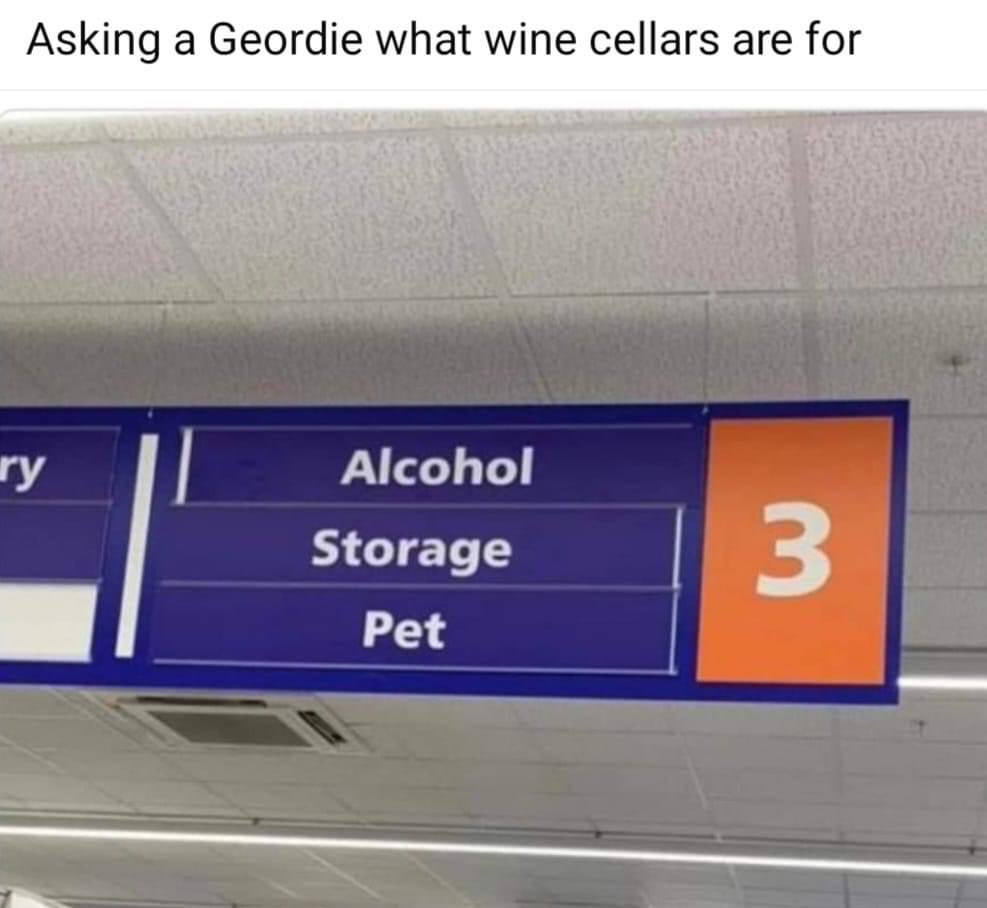 BigBearF1's tweet image. 😅😂🤣😂😅