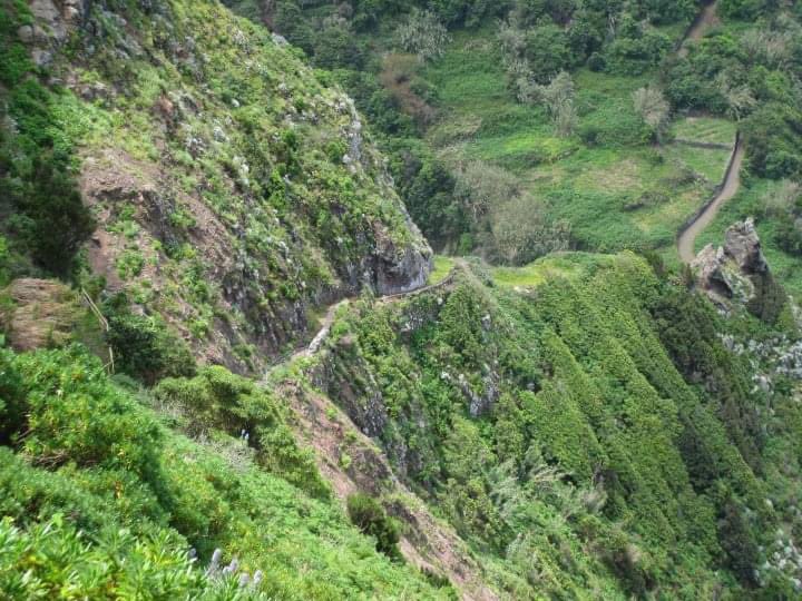 bumbaglady's tweet photo. #worn  #DailyPictureTheme
Madeira we came up that with NO RAILINGS...
And it’s a VERY well worn path https://t.co/eDseoTXYa5