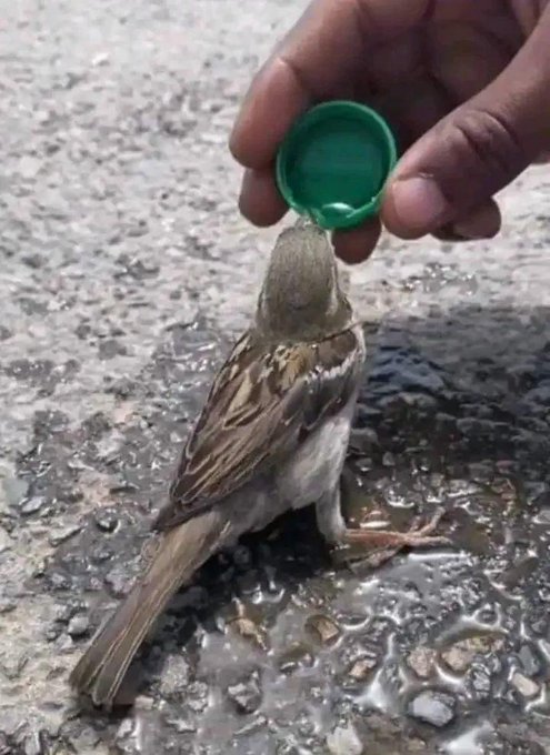 فلا تدري، بأي معروف تدخل الجنه،
دائما كن محسناً و إن لم تلقى إحساناً،
يكفيك أن الله يحب المحسنين..🍁