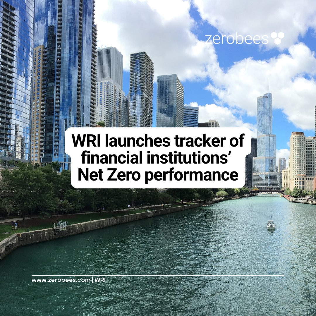 Zerobees tweet media