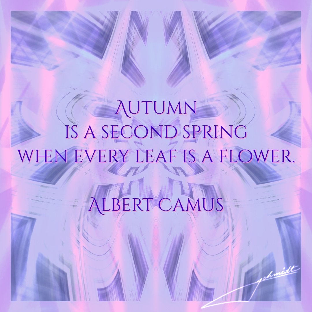 #AlbertCamus &amp; #Me

My latest floral drawing paired with thoughts about autumn from a notable French philosopher.

#Art #Artist #Drawing #Quote #Quotes #AutumnIsNear #FullMoon #Flower #FlowerArt #ArtOfTheDay #MakeTwitterBeautiful #MakeXitterBeautiful #MakeXBeautiful #Thought #SLS