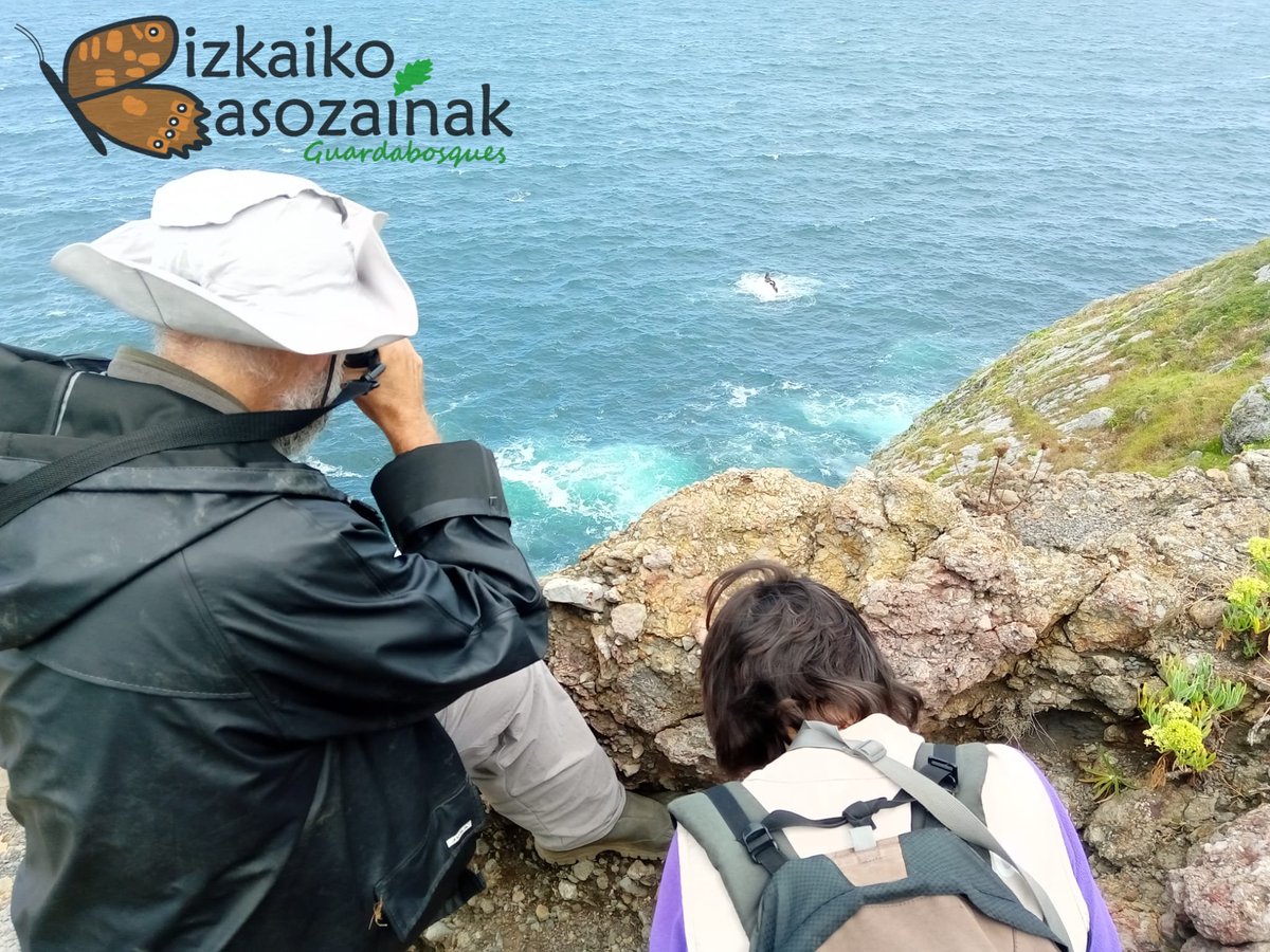 Biz_Basozainak's tweet photo. @Gob_eus-ek @aranzadi-ri agindutako #europar batasunaren intereseko #habitat-en #kontserbazio egoera eta bilakaera lana egiten lagundu dugu. Kasu honetan #Gaztelugatxeko #Doniene-ko kostaldeko #txilardegi, #labar, etab... ikuskapena egin dute.
#Botanika #Ekosistemak https://t.co/4Reu5XXigc