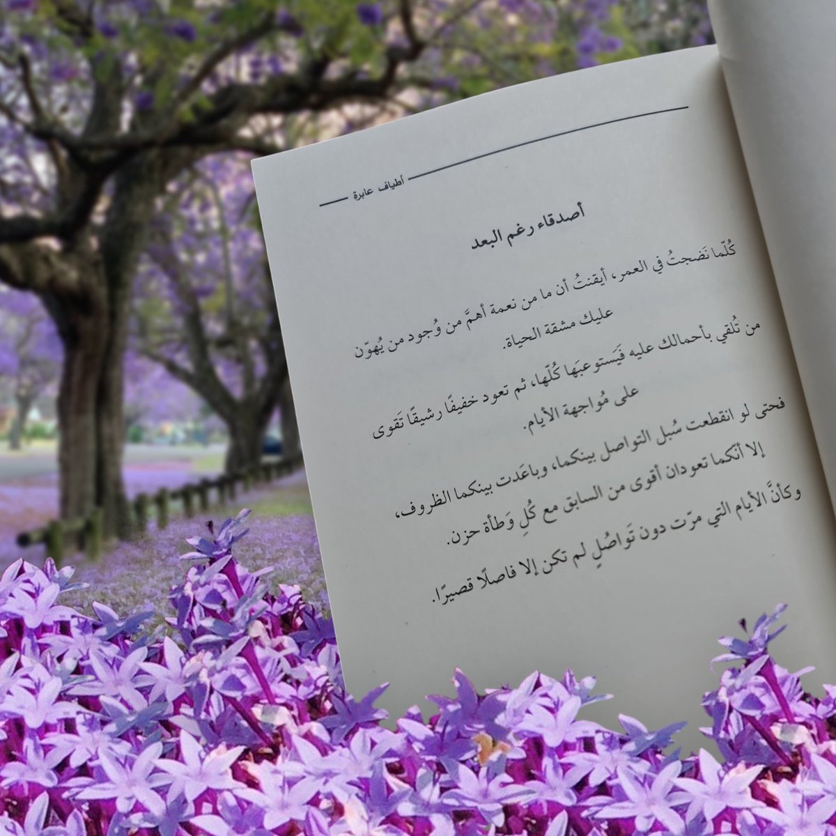 HebaMSadaqa's tweet photo. أصدقاء رغم البعد 

#اقتباسات من #كتاب  #أطياف_عابرة 

#fypシ゚ 

#explore 

#followersreels https://t.co/xlY1JdoziP