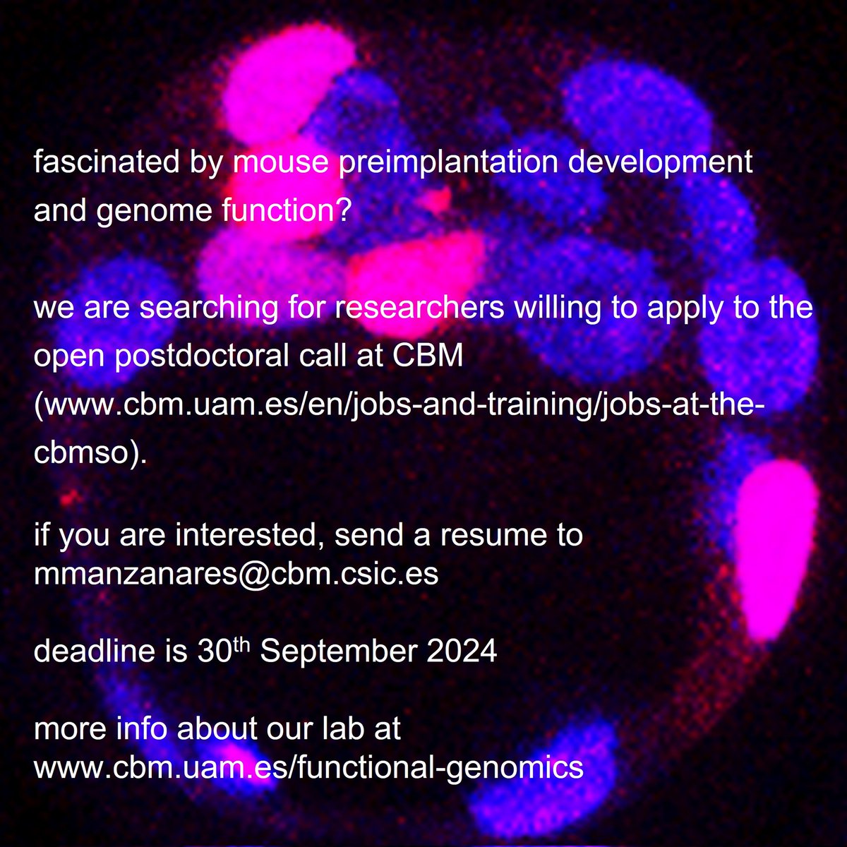 We are still looking for candidates to applu to the CBM Postdoctoral call. Deadline is 30th September!