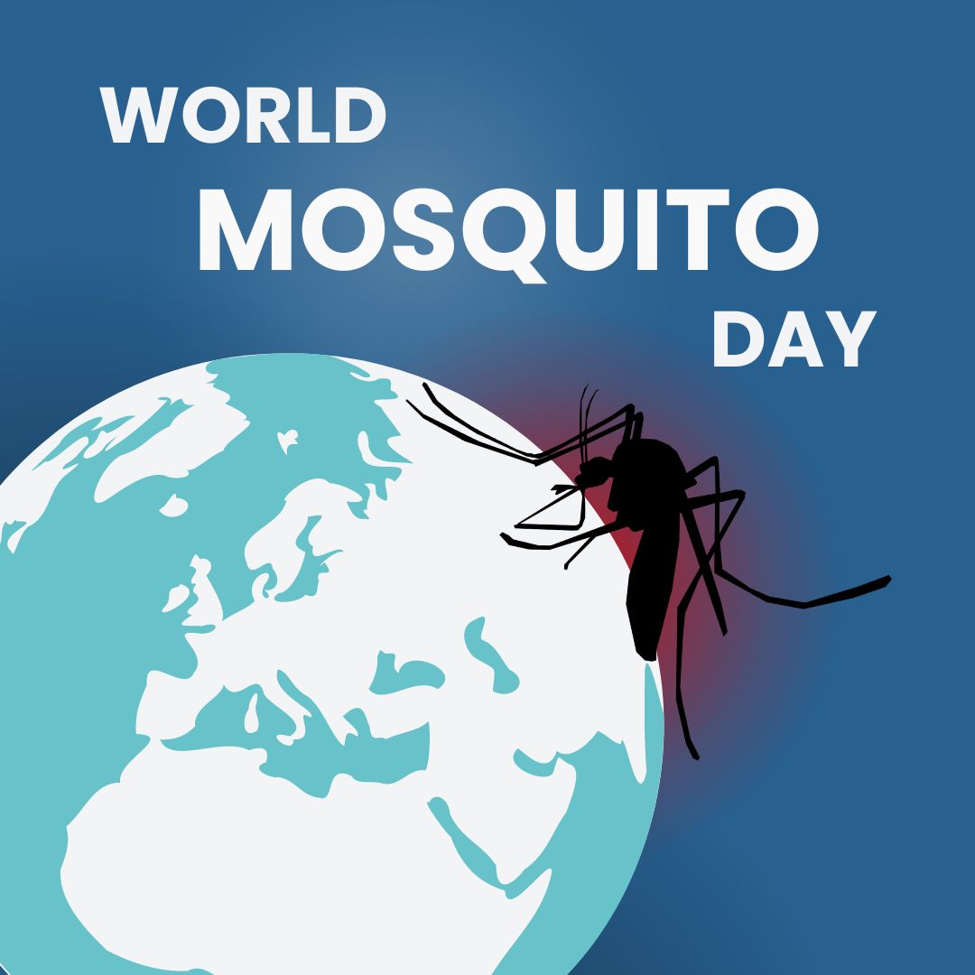 #MosquitoDay🦟
Though small, mosquitoes have a huge impact on global health. This week, we reaffirm our dedication to fighting mosquito-borne diseases through the MediLabSecure network, uniting multisectoral experts from 111 institutions in 22 countries 👉 bit.ly/3WVdT4Y