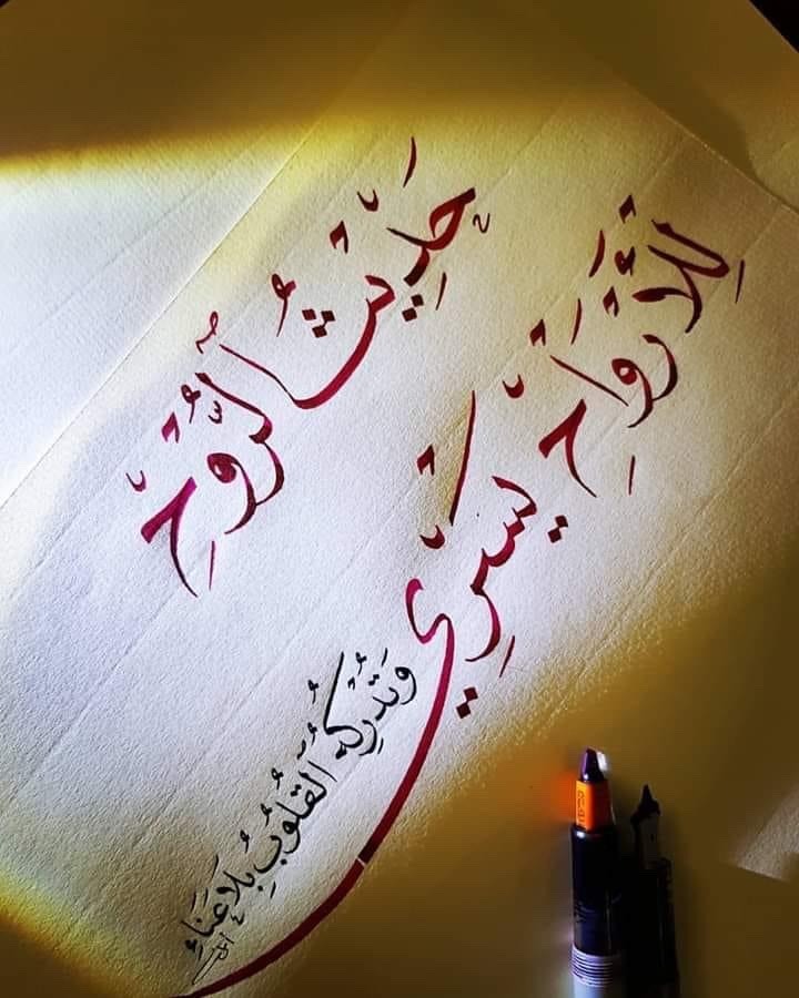 aref aref (@arefalfrganeya1) on Twitter photo 