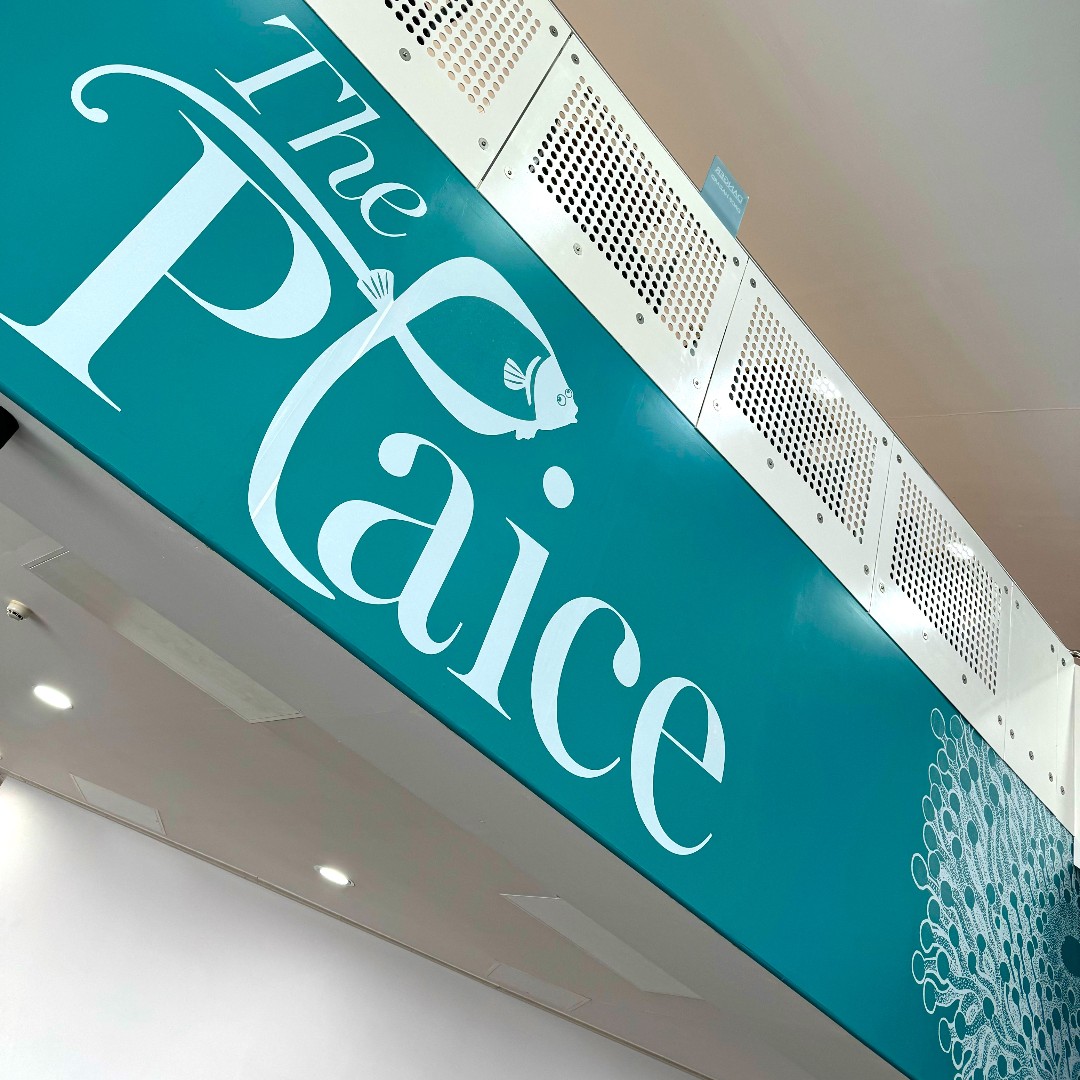 BusinessTheDeep's tweet photo. @TheDeepHull's revamped café is 'The Plaice' to be this summer- why not take a peek at what's new? 🐟

Don't forget, clients can benefit from 30% off with the Client Discount Card!

More to be revealed soon... 👀

#TDBC #TheDeepBusinessCentre #ThePlaice #ClientDiscountCard https://t.co/2v4Th6Iu68