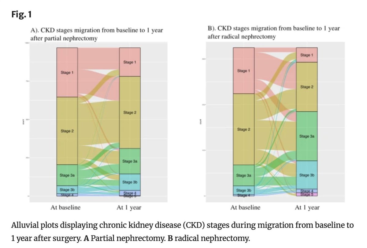 Annals of Surgical Oncology (@annsurgoncol) on Twitter photo August Issue: Assessing Functional Outcomes of Partial Versus #RadicalNephrectomy for T1b-T2 #RenalMasses : Results from a Multi-institutional Collaboration <a href="/paolo_delloglio/">Paolo Dell'Oglio</a> <a href="/ca_bravi/">Carlo Andrea Bravi</a> <a href="/ZineEddineKhene/">Zine-Eddine Khene</a> <a href="/Ric_Campi/">Riccardo Campi</a>
rdcu.be/dRnkC
<a href="/SyedAAhmad5/">Syed A. Ahmad</a> August Issue: Assessing Functional Outcomes of Partial Versus #RadicalNephrectomy for T1b-T2 #RenalMasses : Results from a Multi-institutional Collaboration <a href="/paolo_delloglio/">Paolo Dell'Oglio</a> <a href="/ca_bravi/">Carlo Andrea Bravi</a> <a href="/ZineEddineKhene/">Zine-Eddine Khene</a> <a href="/Ric_Campi/">Riccardo Campi</a>
rdcu.be/dRnkC
<a href="/SyedAAhmad5/">Syed A. Ahmad</a>