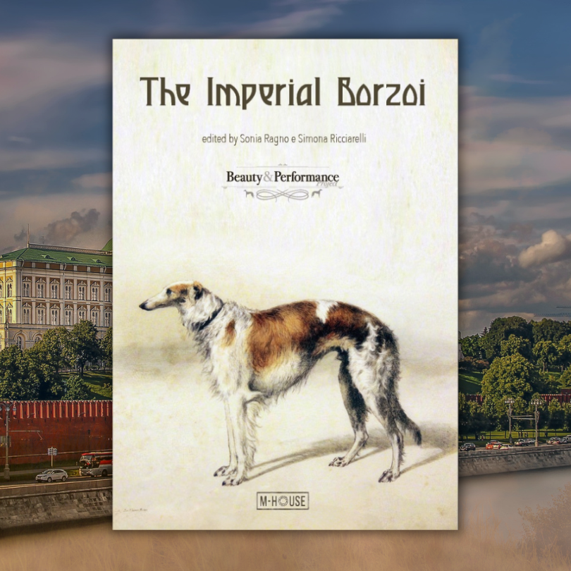 Twogreyhounds's tweet photo. "The Imperial Borzoi: A Journey Through Majesty"
Discover the captivating history of the Borzoi, from its noble origins in the Russian steppes to its evolution as a timeless symbol of elegance.
https://t.co/sqeYaOqDGo
#BorzoiHistory #Borzoi @BorzoiBookshop @ganbor_zoi https://t.co/lj3ZaQMToP
