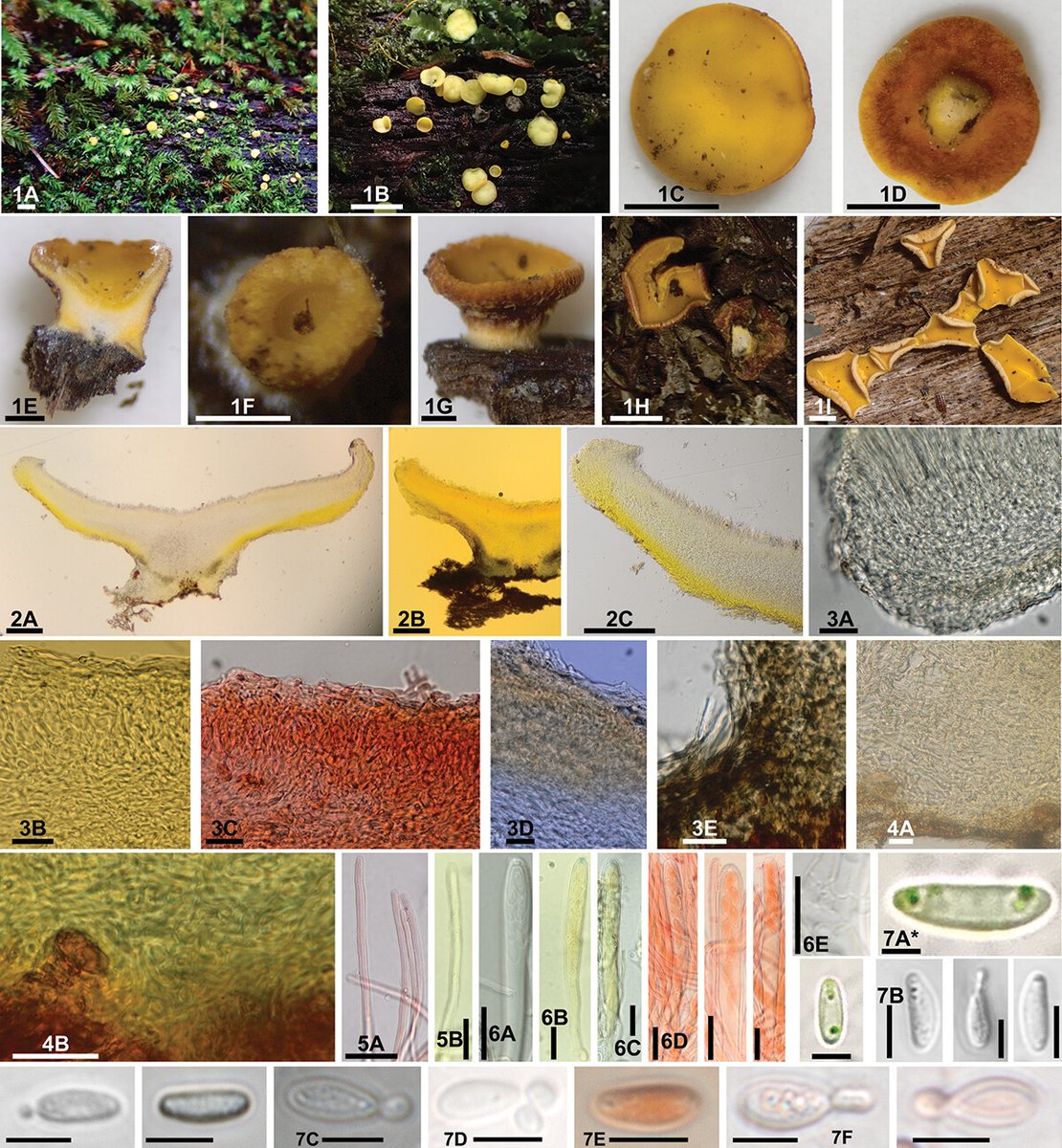 Opwall Science tweet media